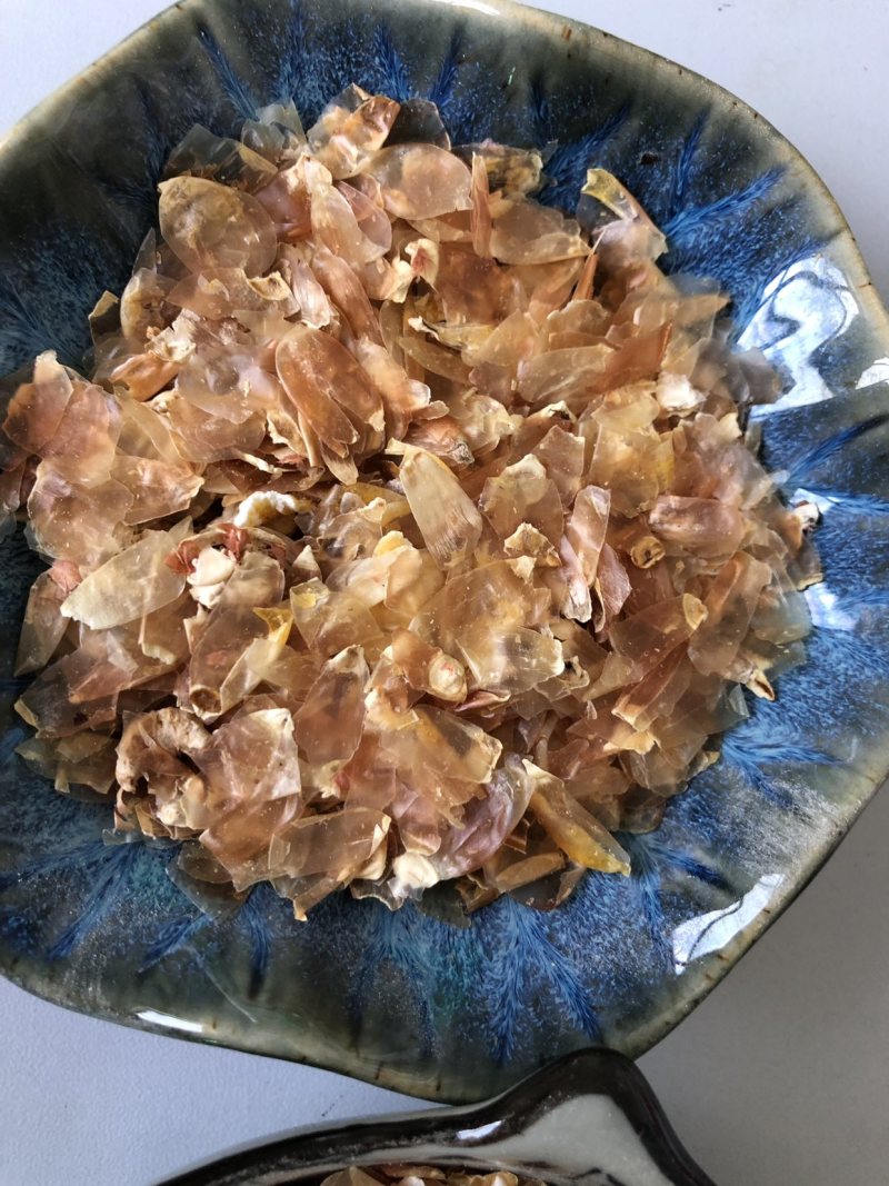 大粗皮