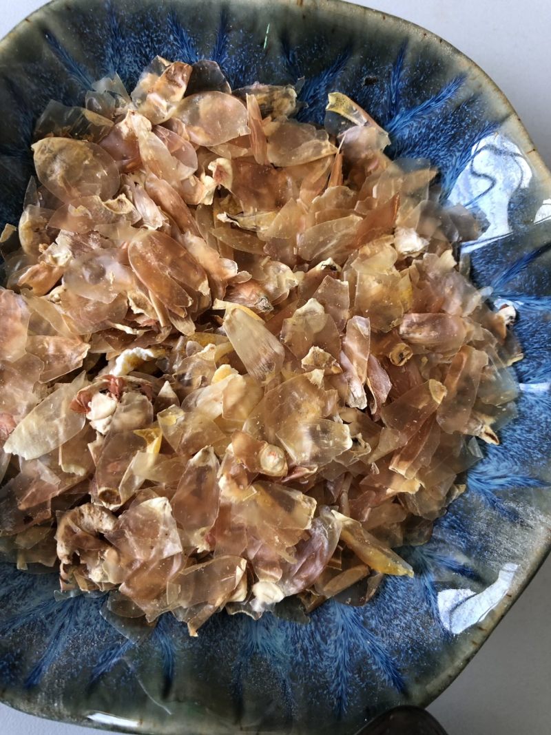 大粗皮