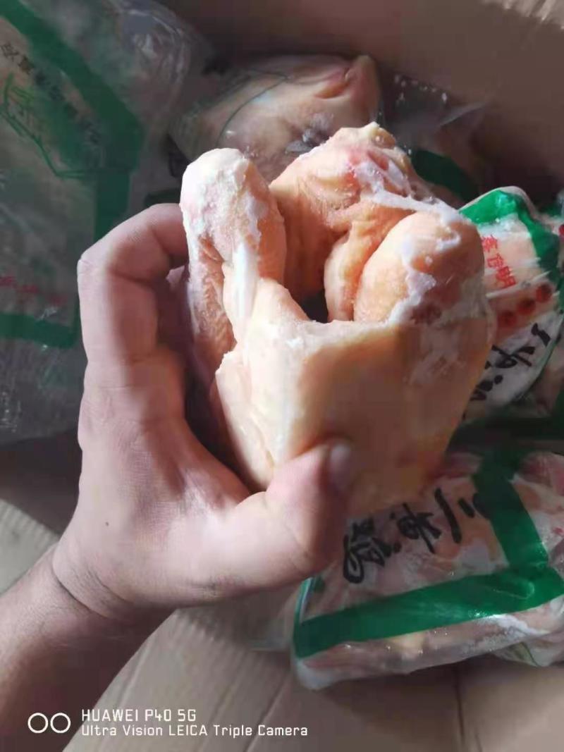 三黄鸡，11只装，盘腿套袋，价格美丽厂家直接发货