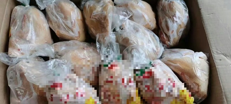 三黄鸡，11只装，盘腿套袋，价格美丽厂家直接发货