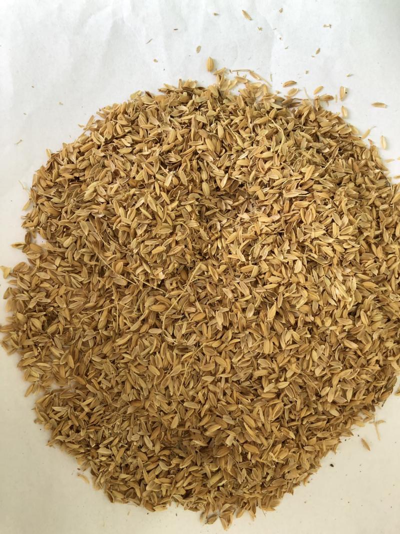 【优质好货】稻壳，厂家直销，量大优惠！