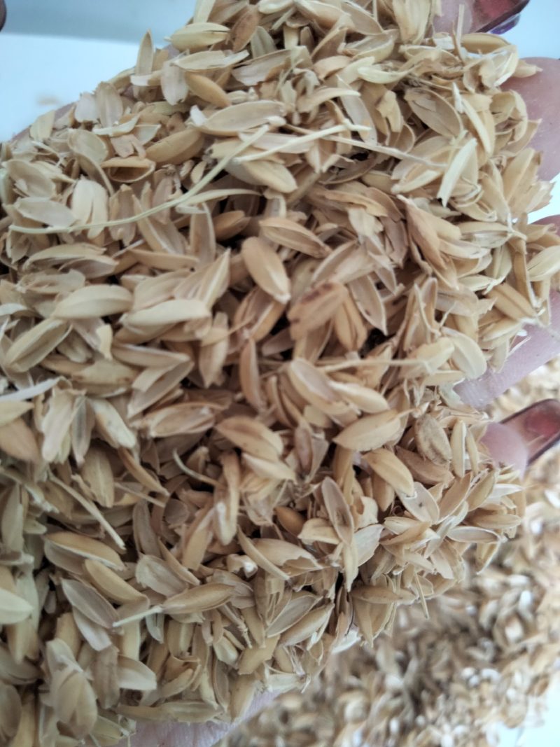 优质好货稻壳，量大价格优，货真价实，欢迎选购