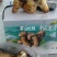 川西高原野生菌…舌尖上的美味