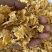 厂家大量供应玉米压片，质量保证。一手货源，量大从优！