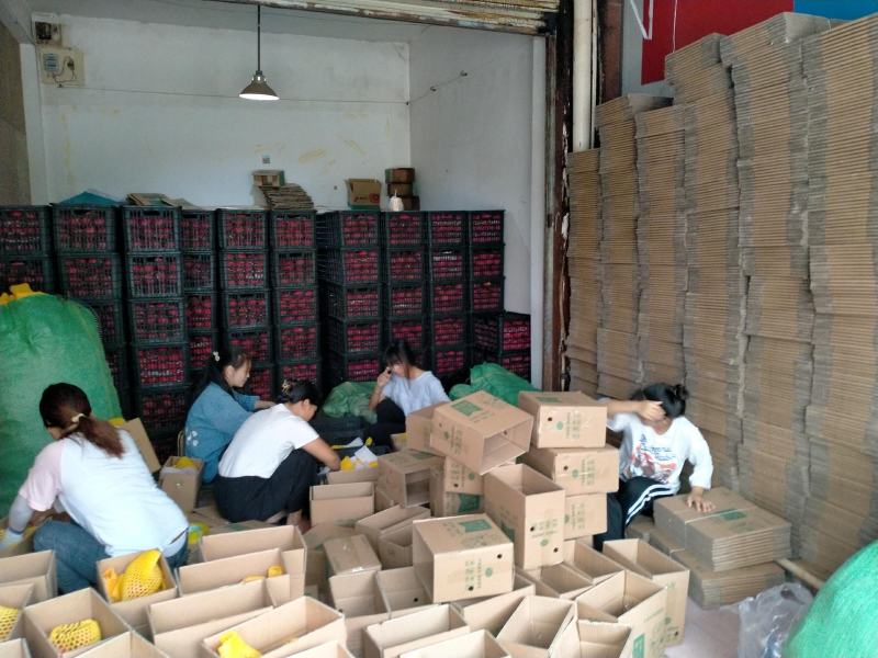 火龙果一件代发，电商专供