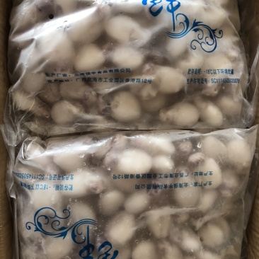 墨鱼仔单冻墨鱼仔烧烤火锅必备全国发货质量保证