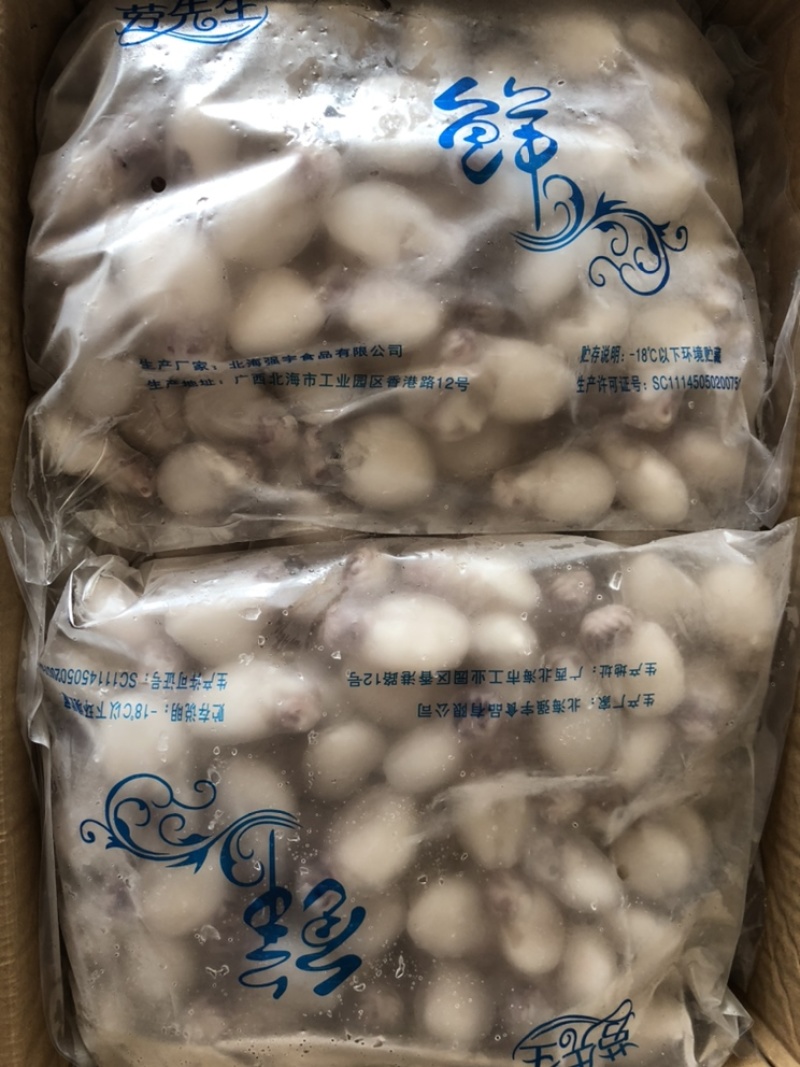 墨鱼仔单冻墨鱼仔烧烤火锅必备全国发货质量保证