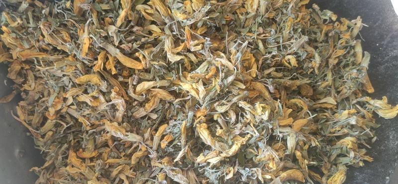 金雀花冷背药材干货欢迎选购量大从优