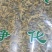 金雀花冷背药材干货欢迎选购量大从优