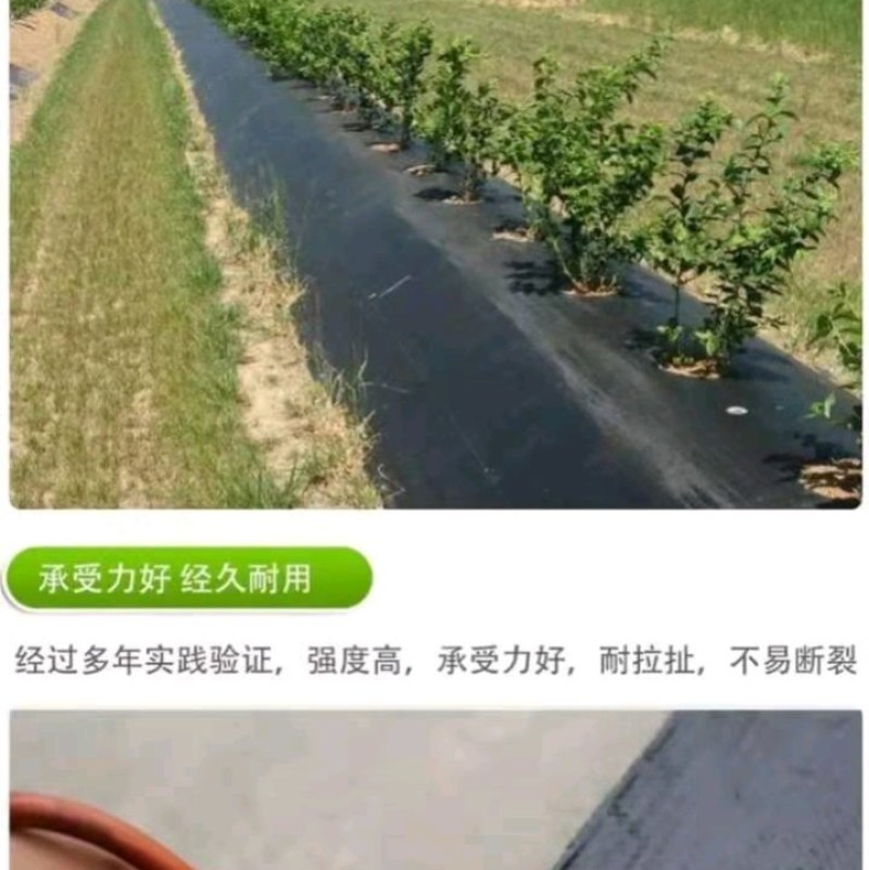 全新料PE抗老化抗暴晒除草布大小尺寸都有