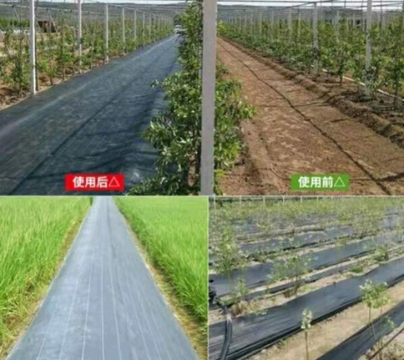 全新料PE抗老化抗暴晒除草布大小尺寸都有