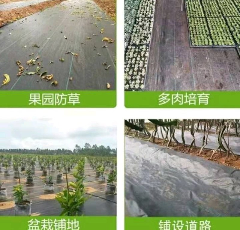 全新料PE抗老化抗暴晒除草布大小尺寸都有