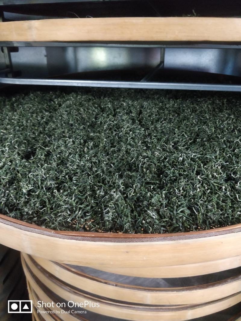 湖南省保靖黄金茶～绿茶（茶多酚含量高的绿茶）