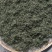 湖南省保靖黄金茶～绿茶（茶多酚含量高的绿茶）