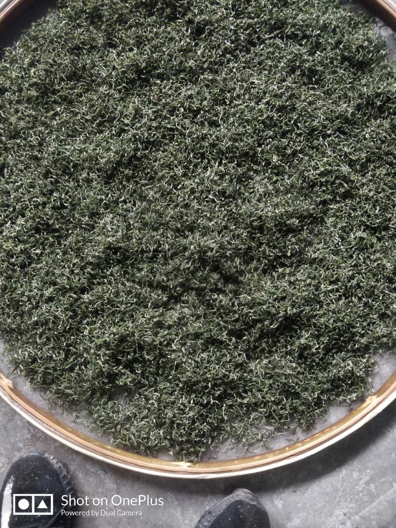 湖南省保靖黄金茶～绿茶（茶多酚含量高的绿茶）