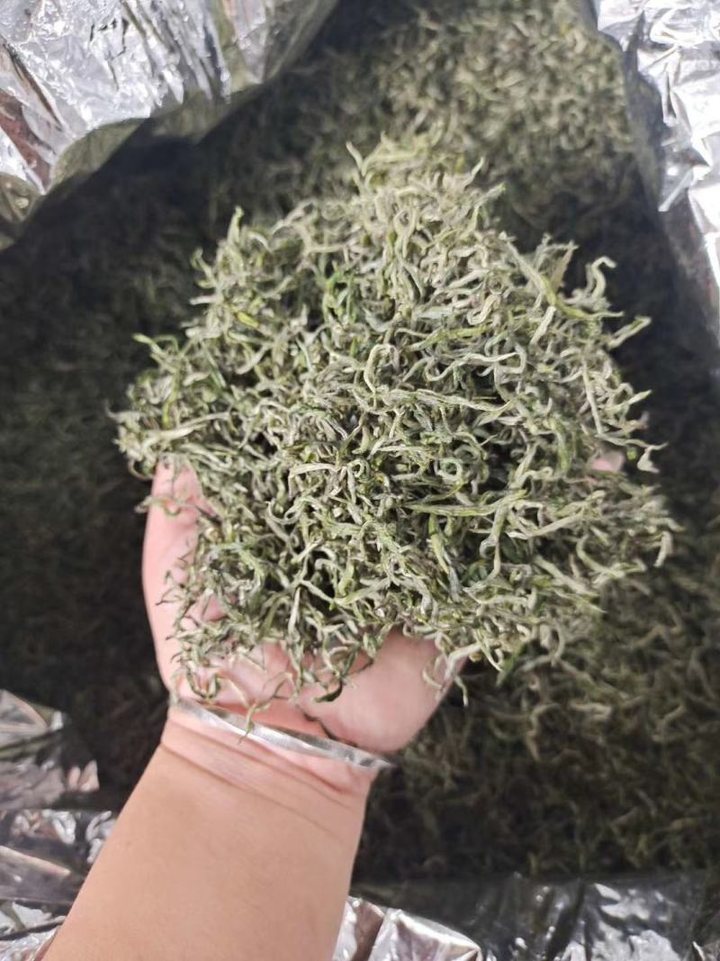 湖南省保靖黄金茶～绿茶（茶多酚含量高的绿茶）