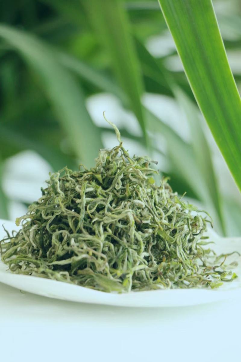 湖南省保靖黄金茶～绿茶（茶多酚含量高的绿茶）