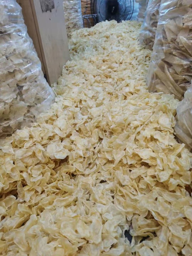 正品黄花胶鱼胶干度好，诚信经营批发！！！！