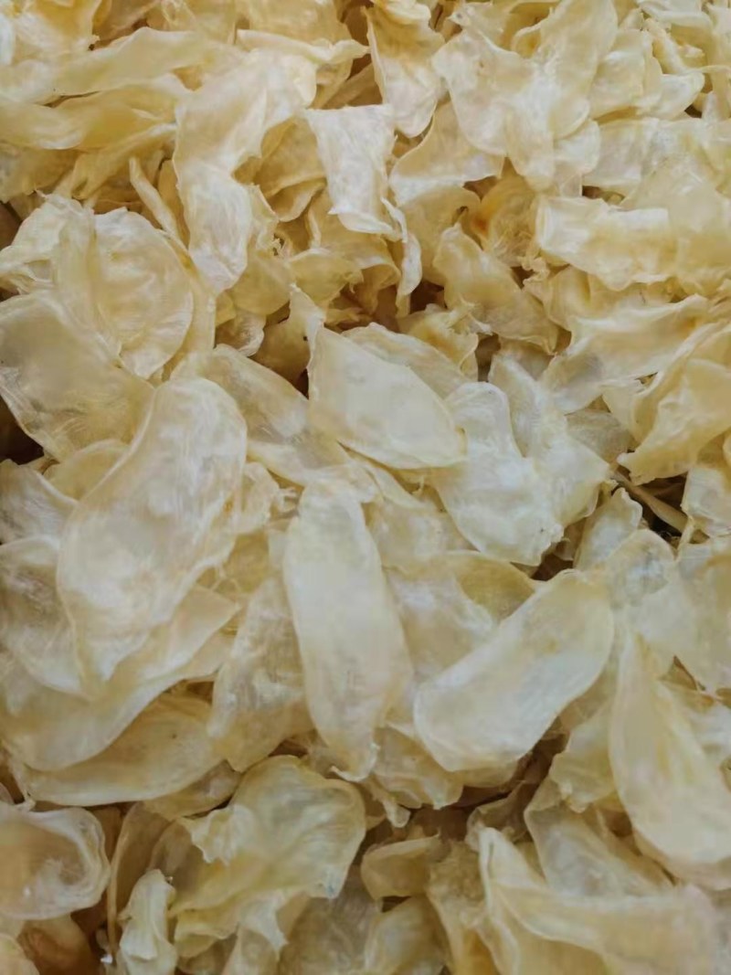 正品黄花胶鱼胶干度好，诚信经营批发！！！！