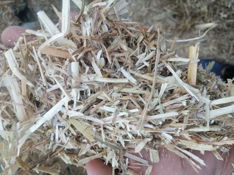 小麦秸秆
