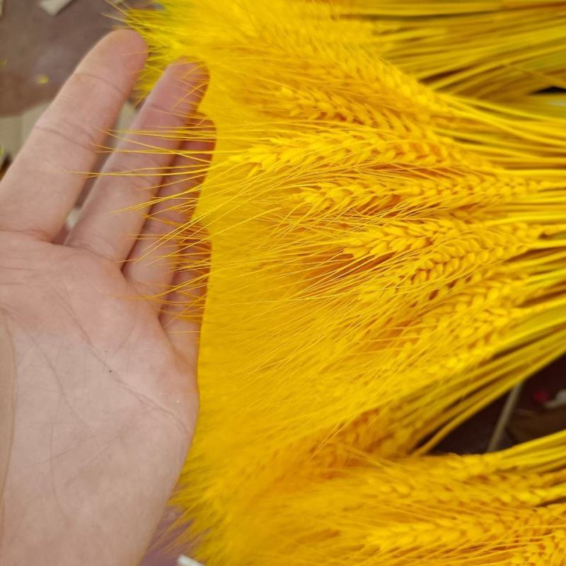 麦穗干花厂家开业花篮大麦干花装饰干花花束真麦子原色