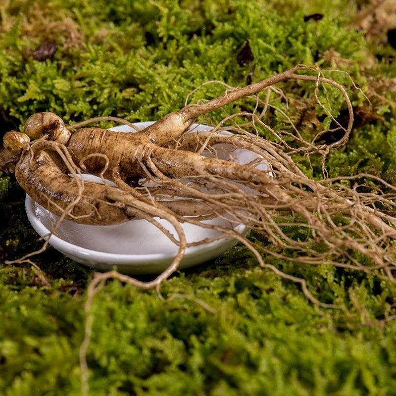 长白山人参，鲜人参顺丰包邮送鹿茸片鹿鞭片，特价活动