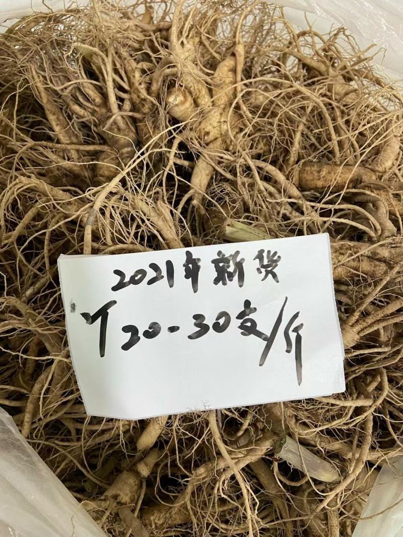 长白山人参，鲜人参顺丰包邮送鹿茸片鹿鞭片，特价活动