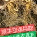 长白山人参，鲜人参顺丰包邮送鹿茸片鹿鞭片，特价活动