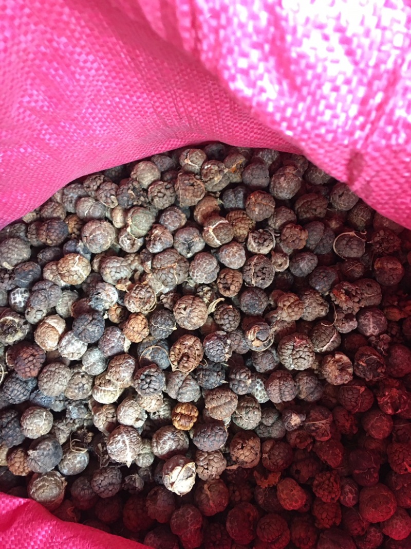 【精品货源】草扣广西大草扣产地货源各种规格和包装
