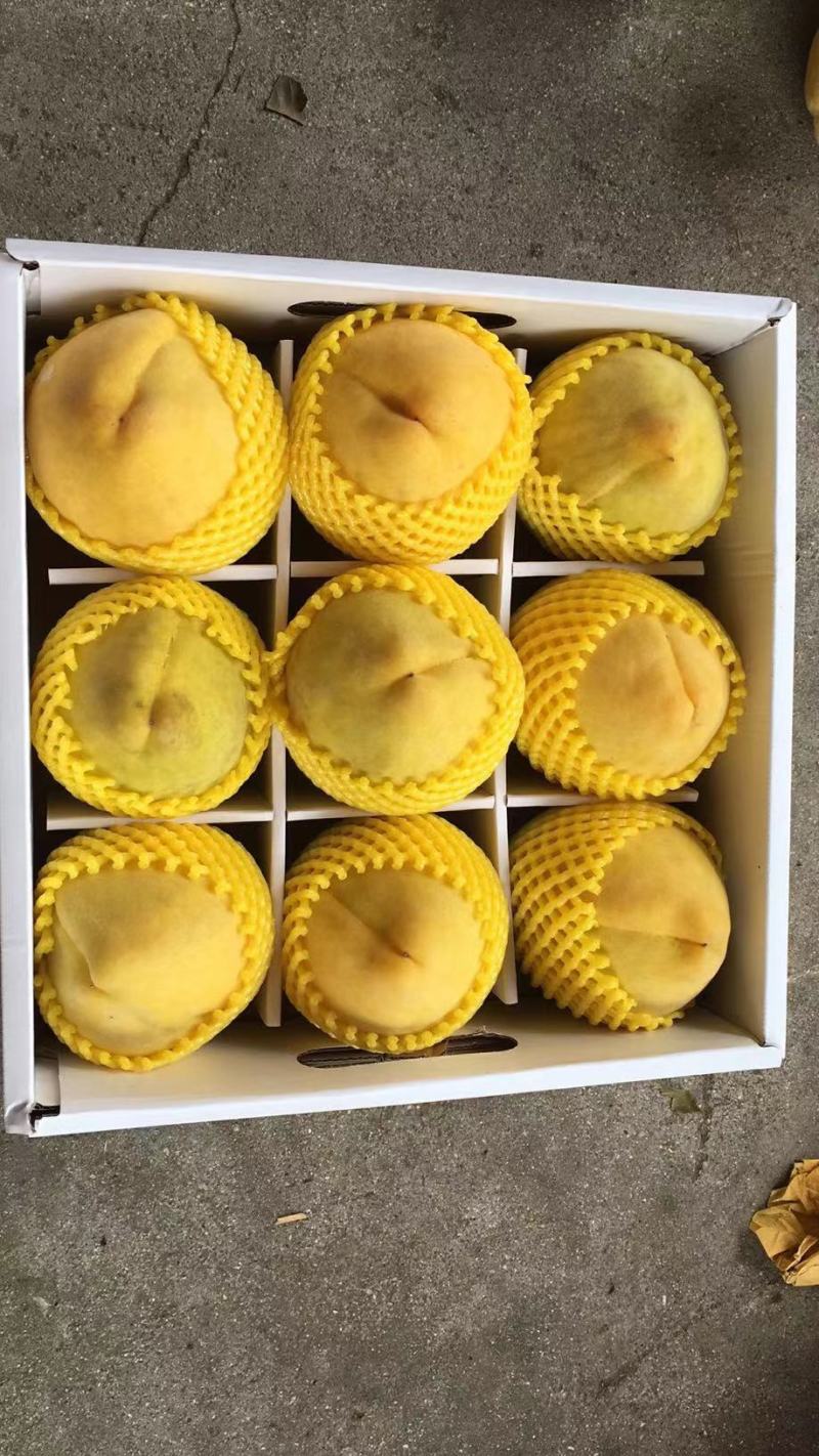 美味的黄桃可以吃喽