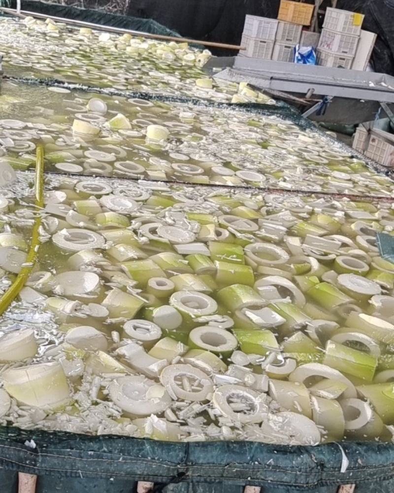 麻竹笋基地，笋尾巴大量供应整年有货实力对接