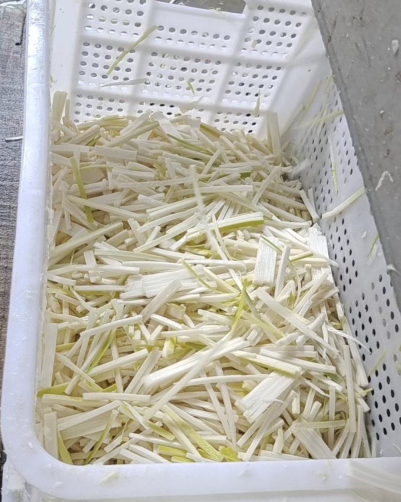 麻竹笋基地，笋尾巴大量供应整年有货实力对接