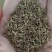 美女樱种子孑籽苗花苗四季种开花盆栽阳台庭院室内外易种活花