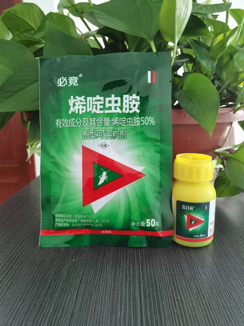 50%烯啶虫胺白飞虱稻飞虱烟粉虱梨木虱蚜虫前打后死速效药