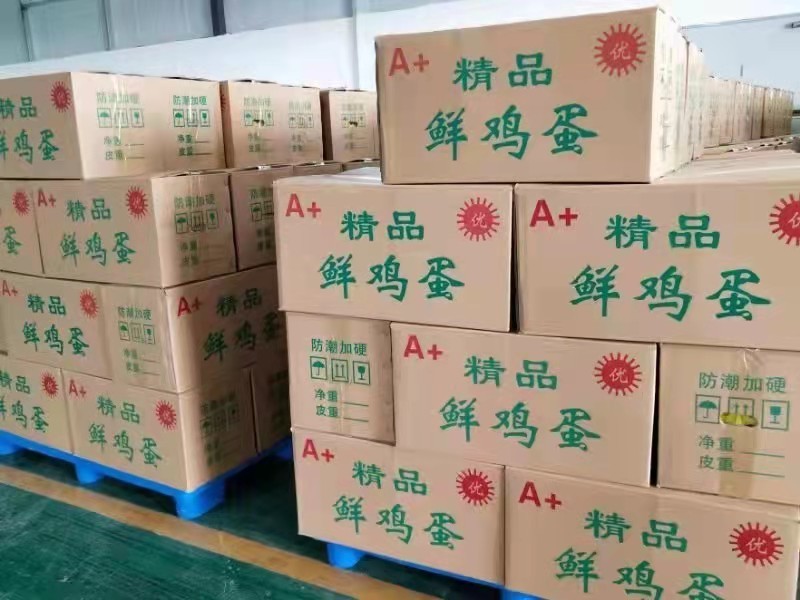【厂家直发】直发精品鲜鸡蛋(360/件)45464748
