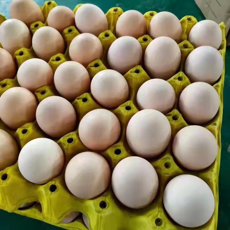 【厂家直发】直发精品鲜鸡蛋(360/件)45464748