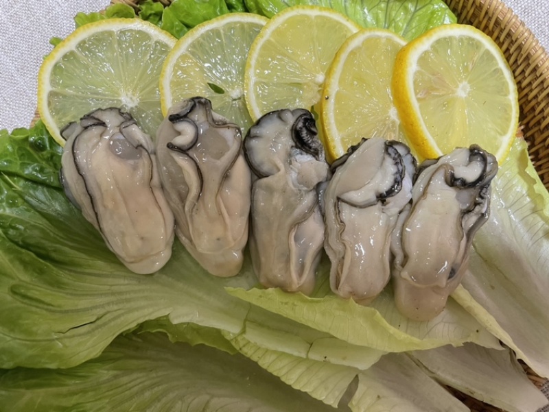 广东生蚝精品生蚝蚝场供应一件代发量大从优烧烤餐饮批