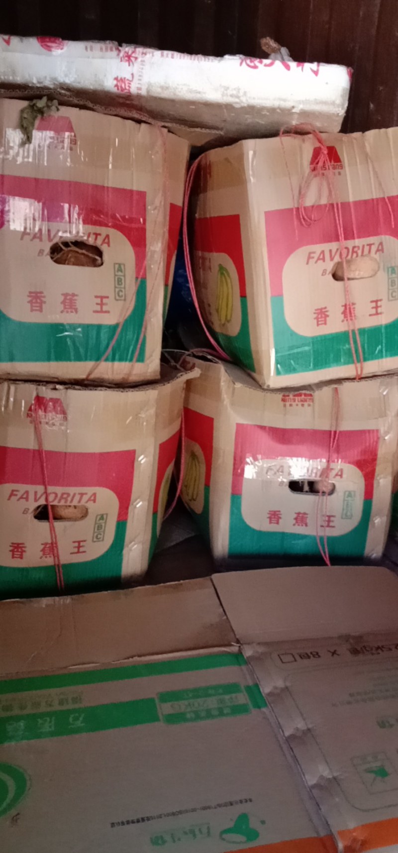 凉薯供应