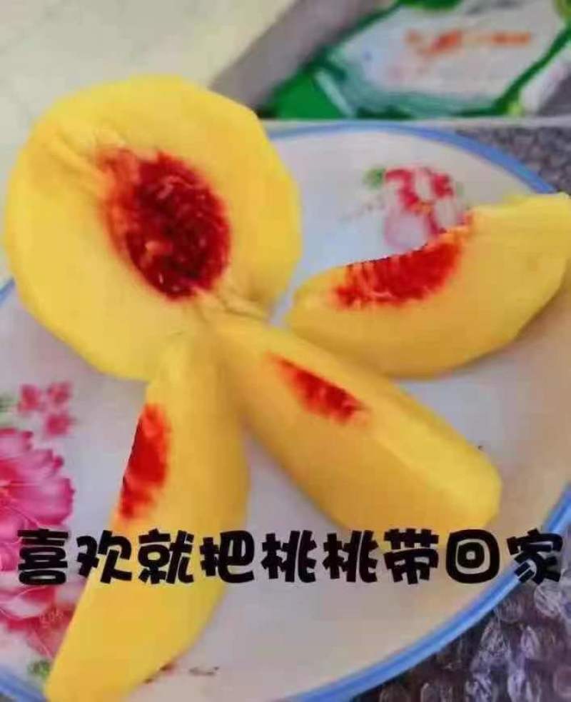 黄桃