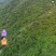转让3000多亩山地