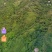 转让3000多亩山地
