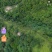 转让3000多亩山地