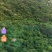 转让3000多亩山地