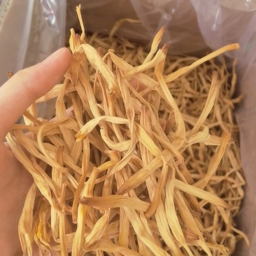 新黄花菜黄花菜干货特级东正宗农家土特产无硫干金针菜散