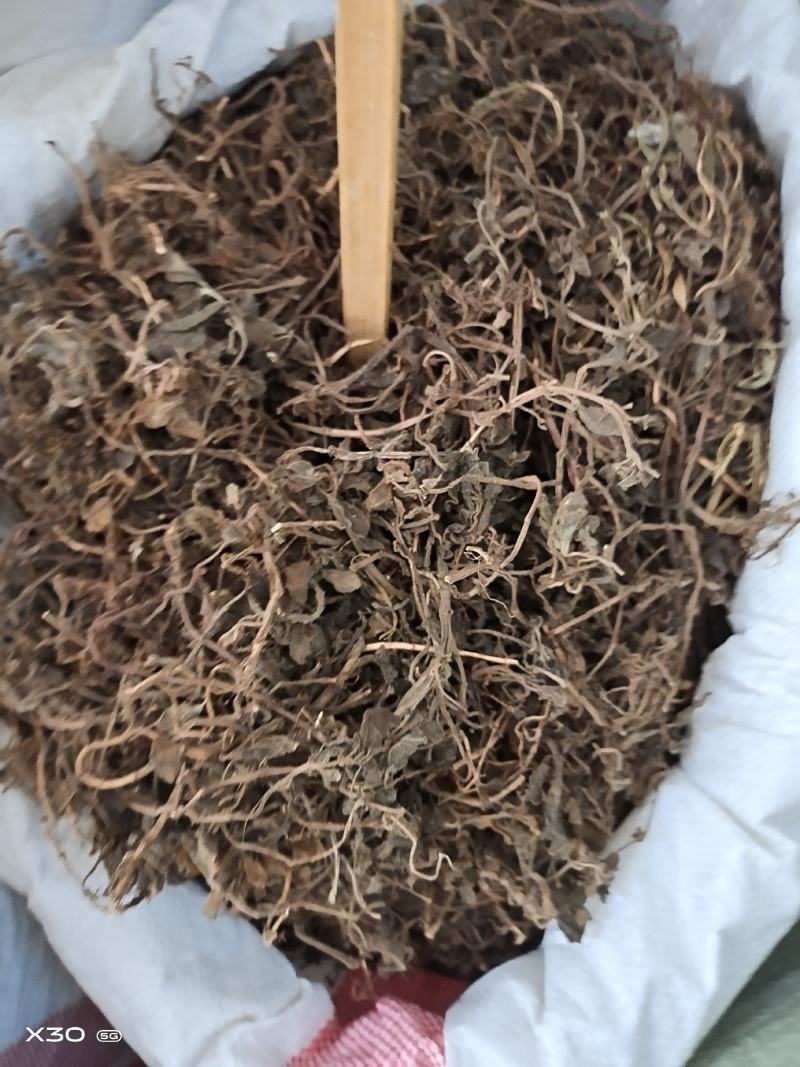 中药材石䃅草保证质量新货产地直销