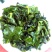 新茶铁观音茶安溪铁观音高山茶叶新枞铁观音茶叶1斤