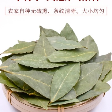 精选特色香叶，干度好无硫杂质少干枝少，卤肉炖肉火锅必备。