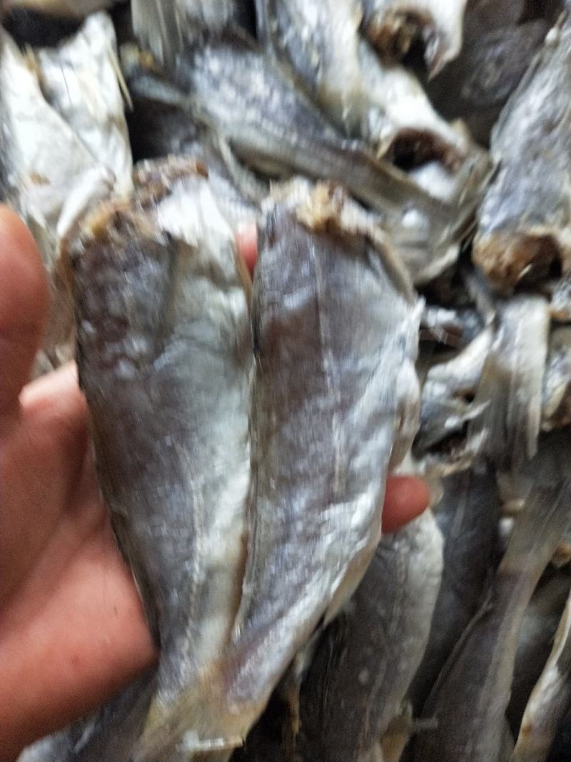 黄花鱼干咸干规格齐去头去内脏可视频看货一件代发不包邮