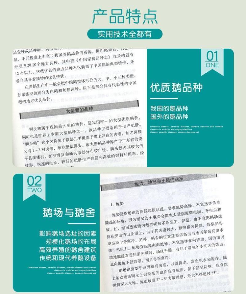 养鹅技术书籍大全鹅病诊断与防治养鹅饲料配方