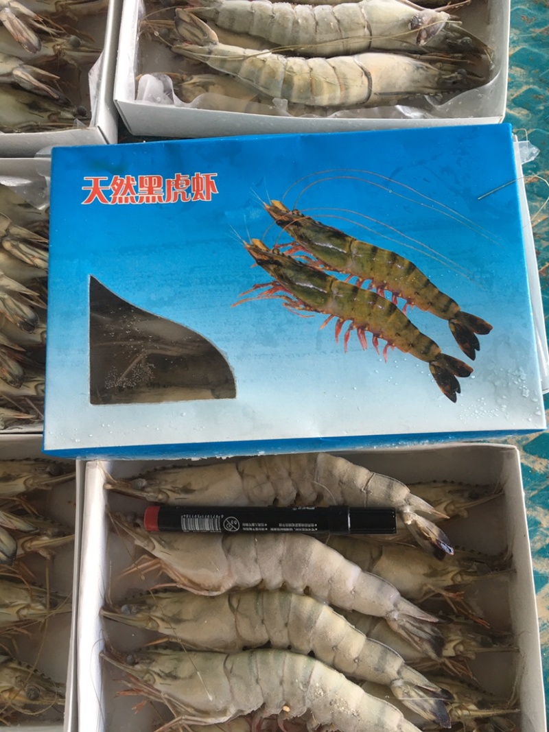 港口一手货源黑虎虾，大虾，东风虾，全国代发货